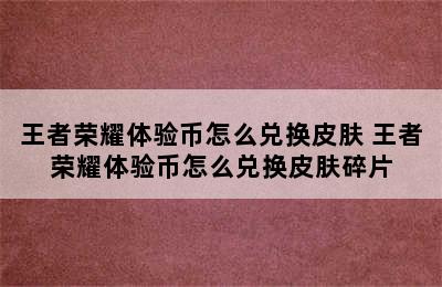 王者荣耀体验币怎么兑换皮肤 王者荣耀体验币怎么兑换皮肤碎片